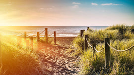 Things to do in Matakana this Summer